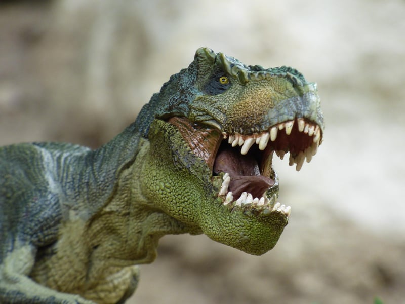 Dinosaur Theme Park
