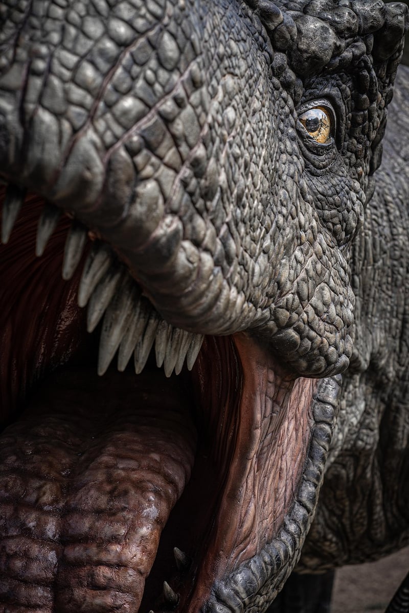 Dinosaur Safari